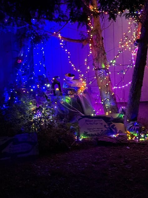 The lit bushes of the Aurora Wisp Swarm.