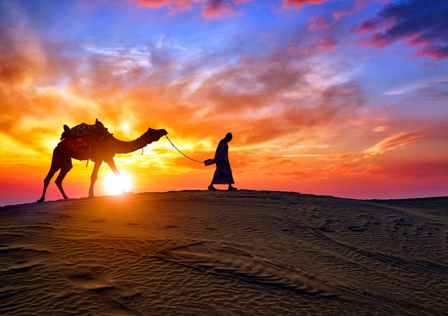 Bedouin in the desert with his camel Bedouin in the desert with his camel
