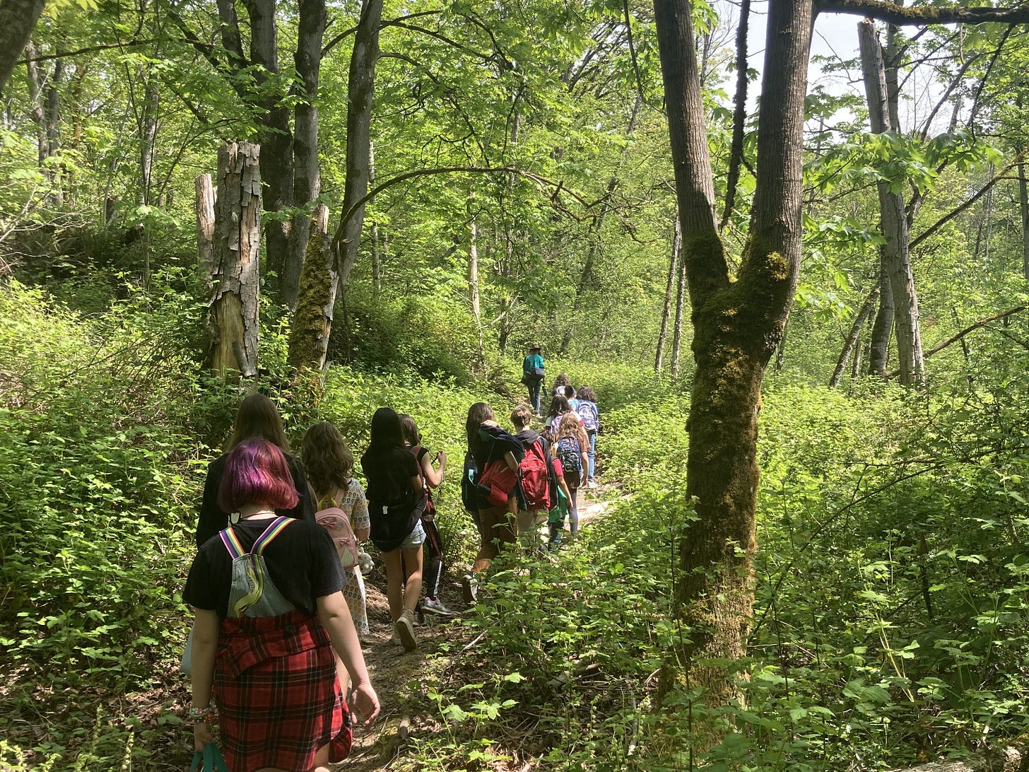 A group of students walk single file through the woods.