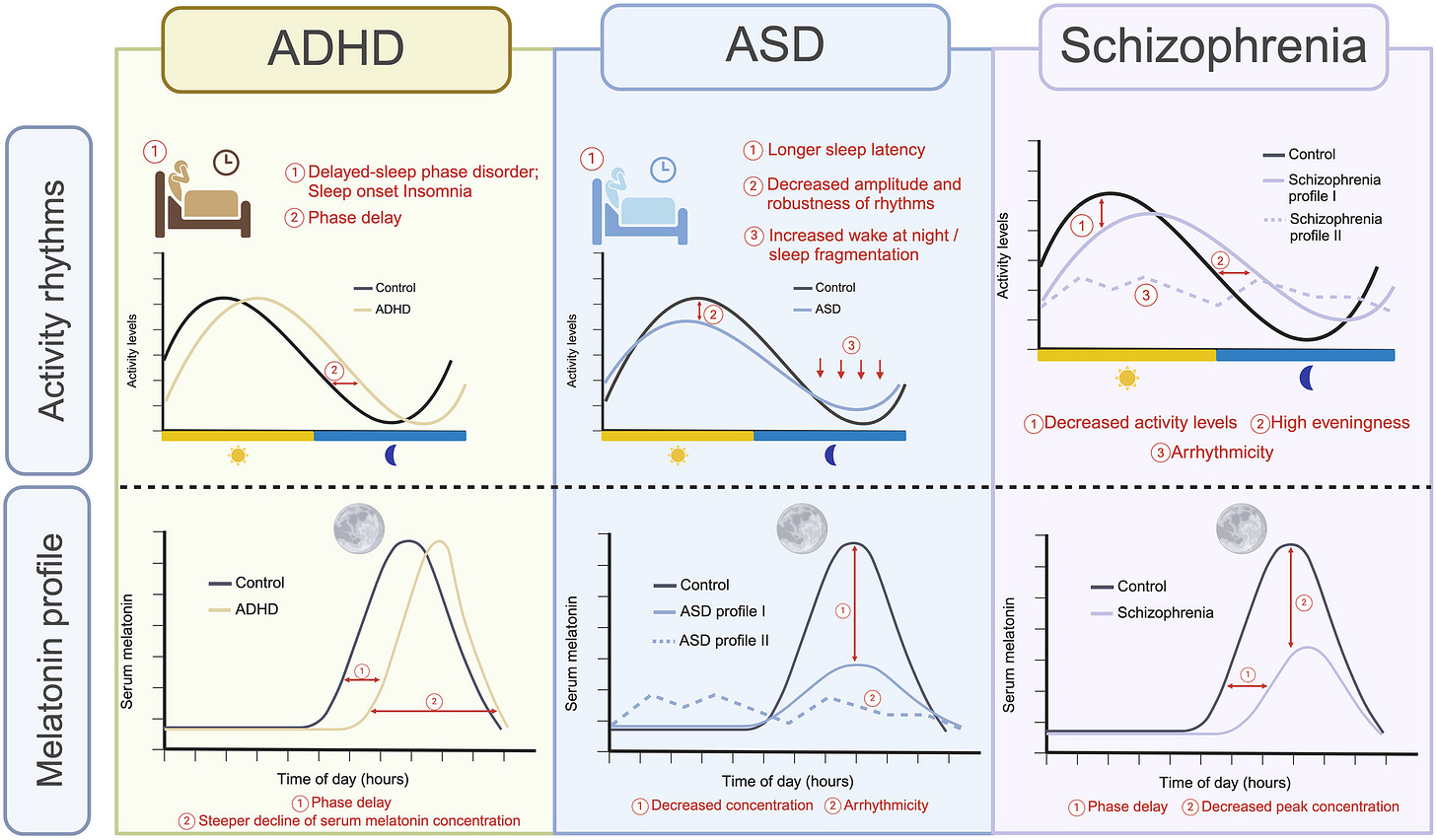 Circadian Rhythms Matter More Than You Might Think in ADHD