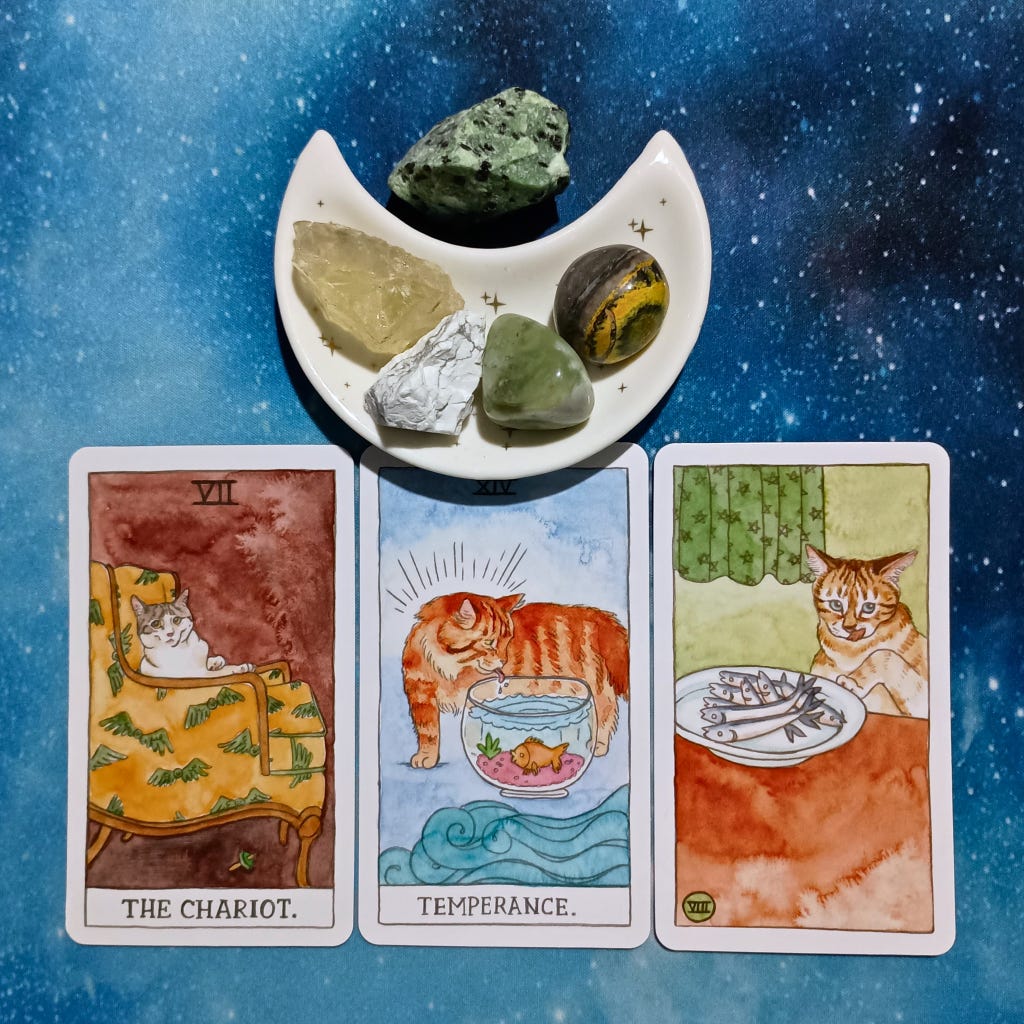 Life Is a Dance! ~ A Message From the Universe, 3 Cat Tarot cards and crystals on a starry blue background Life Is a Dance! ~ A Message From the Universe, 3 Cat Tarot cards and crystals on a starry blue background