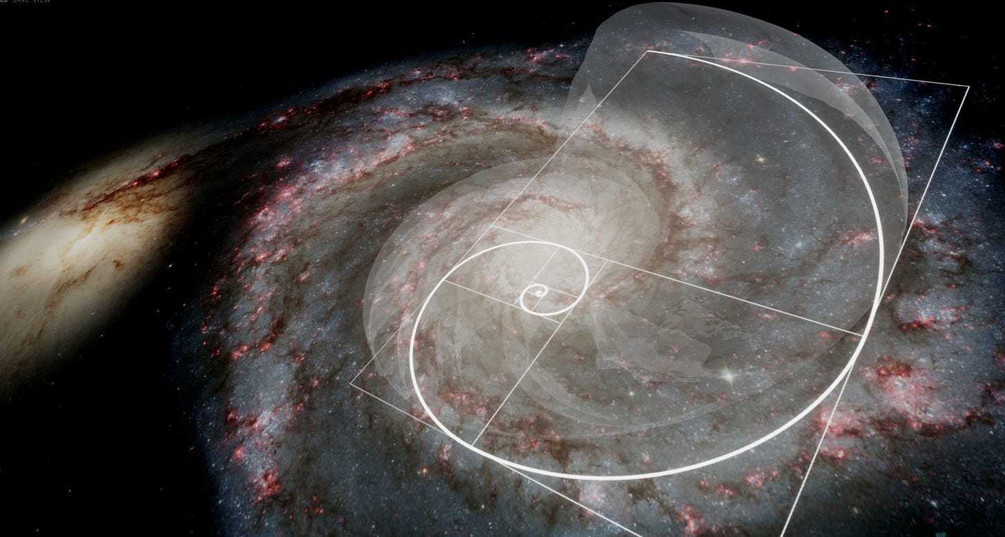 Salvatore Orlando - What do a seashell and a galaxy share in common?