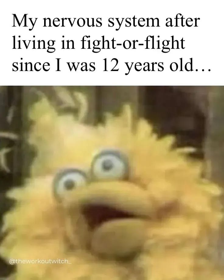 a photo of big bird under duress that says my nervous system after living in fight or flight since I was 12 years old