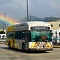 Daily Bus Photo's avatar