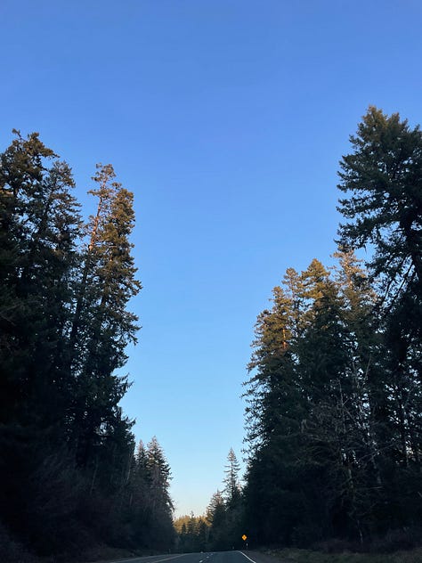 scrapbook of my solo trip to the PNW for a girls weekend
