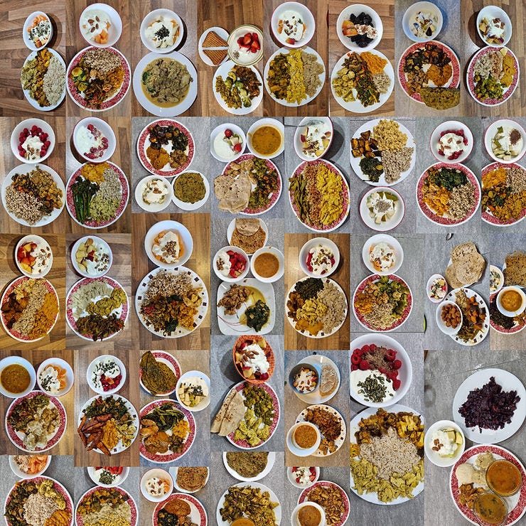 sample of home food consistent with one diet plan but with a variety in taste and texture.