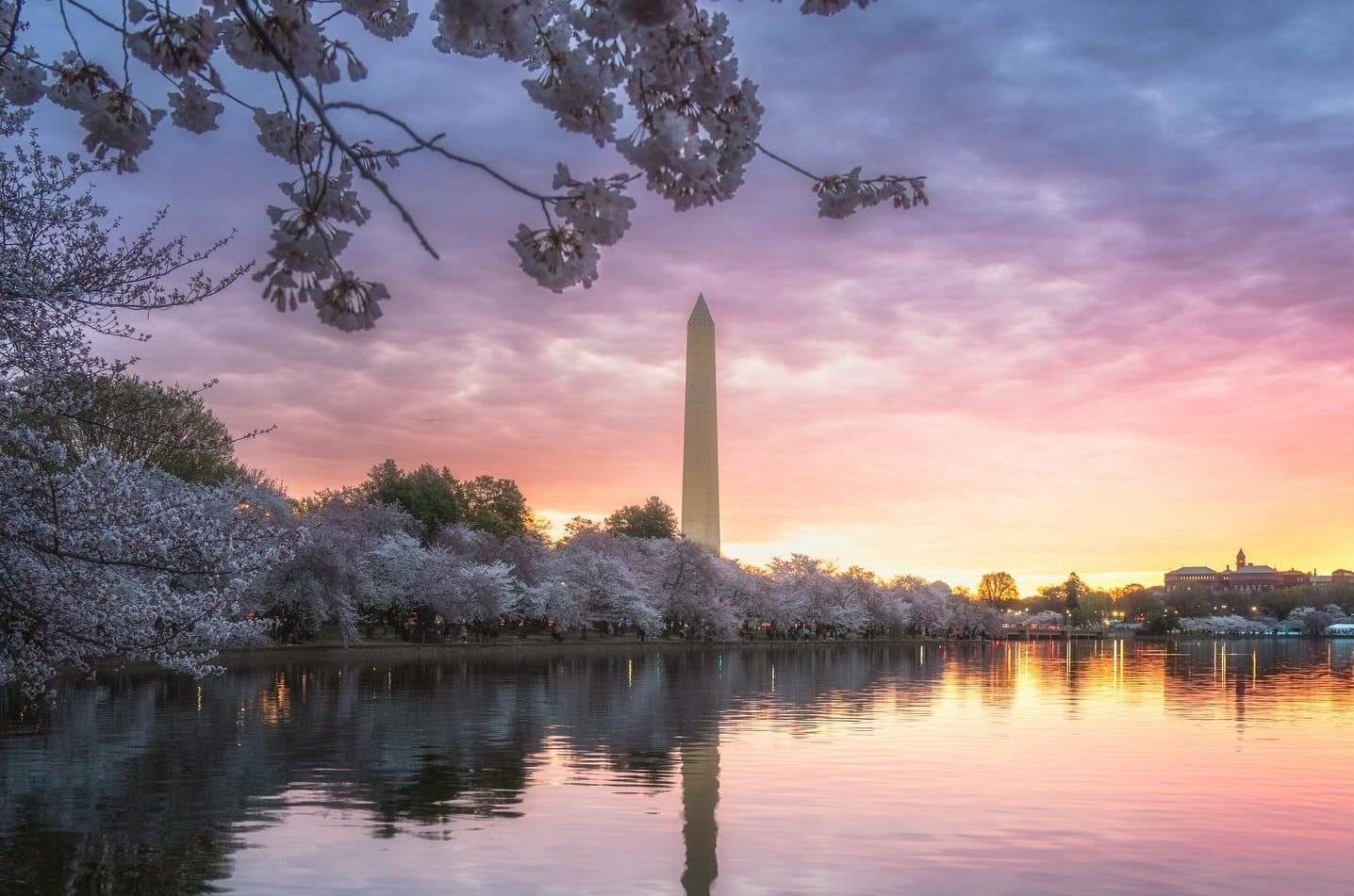 defenseacquisition.substack.com - Pete Modigliani - Acq Marketplaces Are Now Cool