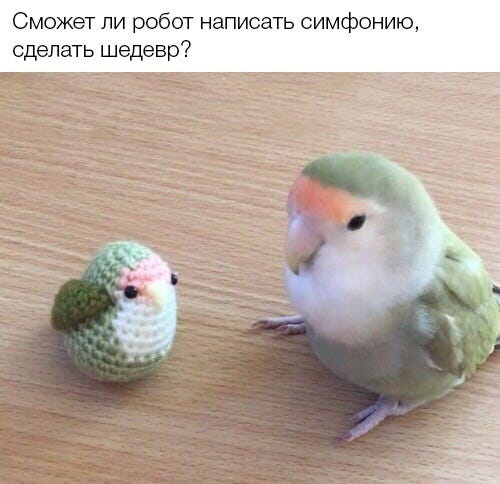 Parakeet – это, если что, папуг!