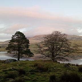 View From a Hill