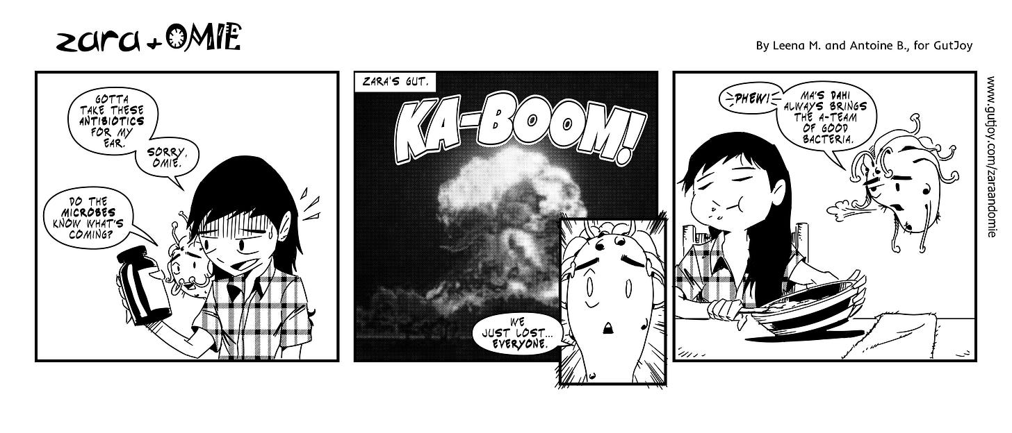 Antibiotics cause chaos inside Zara’s gut, but her dahi brings the good microbes back.