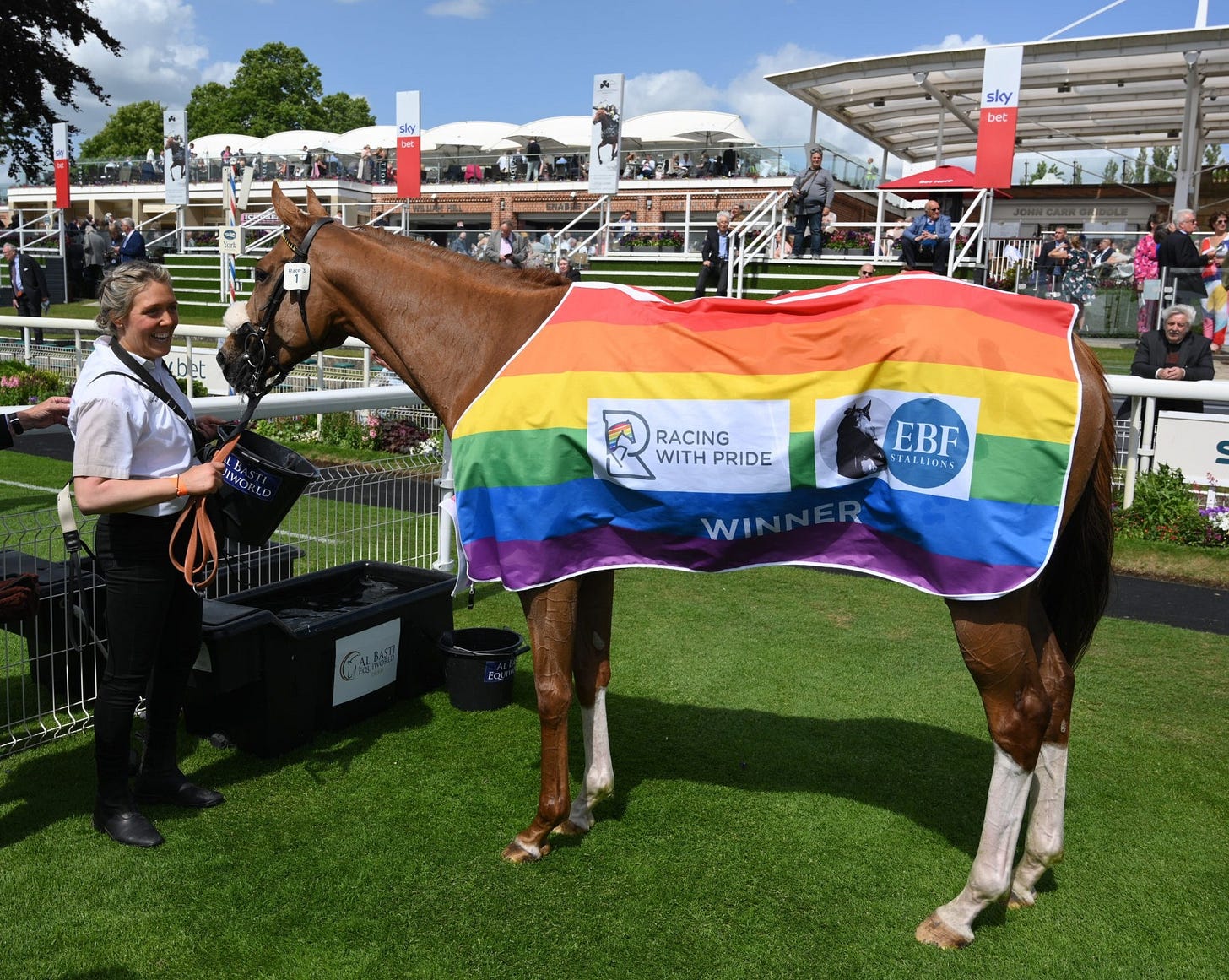 Photo of horse in Pride colours at York Racecourse