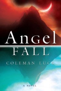 Angel Fall Book Cover