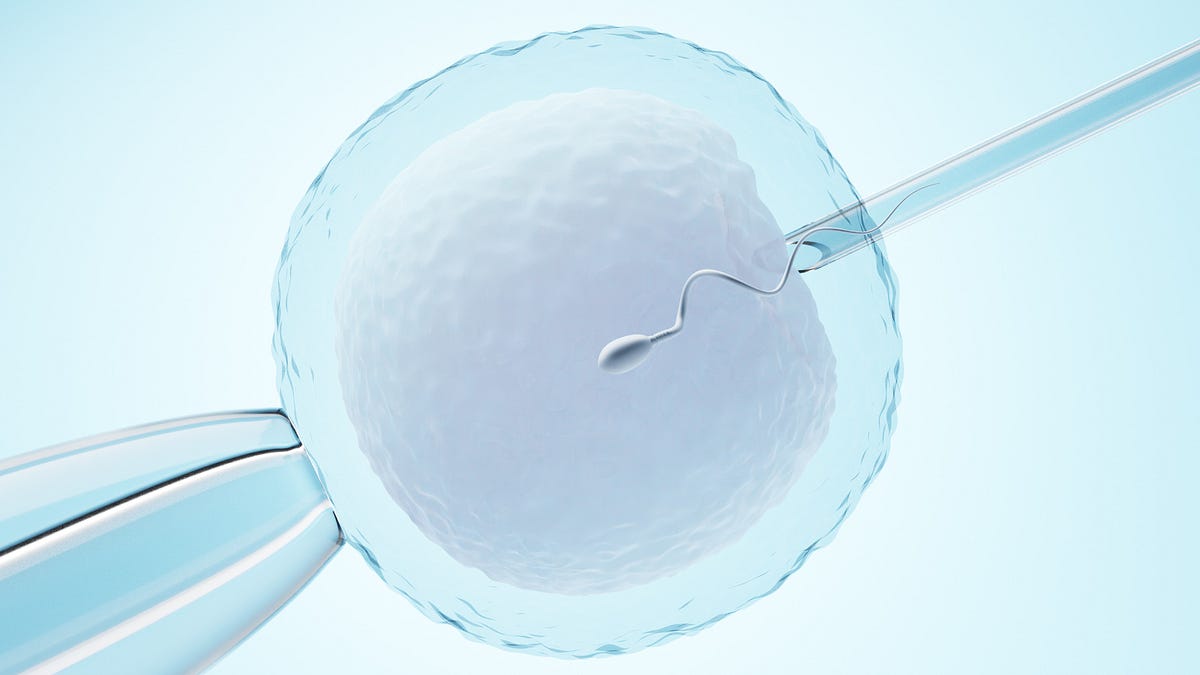 thewinepress.substack.com