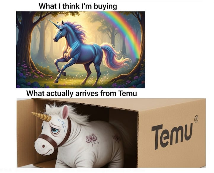 What I think I'm buying vs. What actually arrives from Temu - about unicorns
