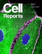 cell-reports-2016.jpg