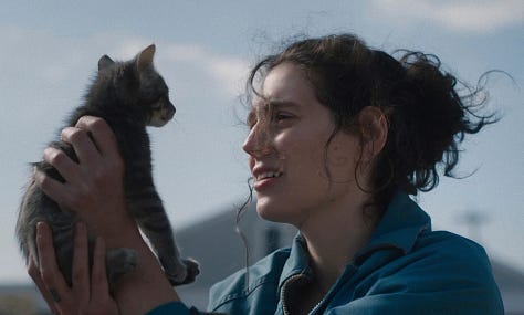 Stills from the new release films Fight or Flight, Life in One Chord, Sorry Baby, The Roses, The Conjuring: Last Rites, Highest 2 Lowest, My Mom Jayne.