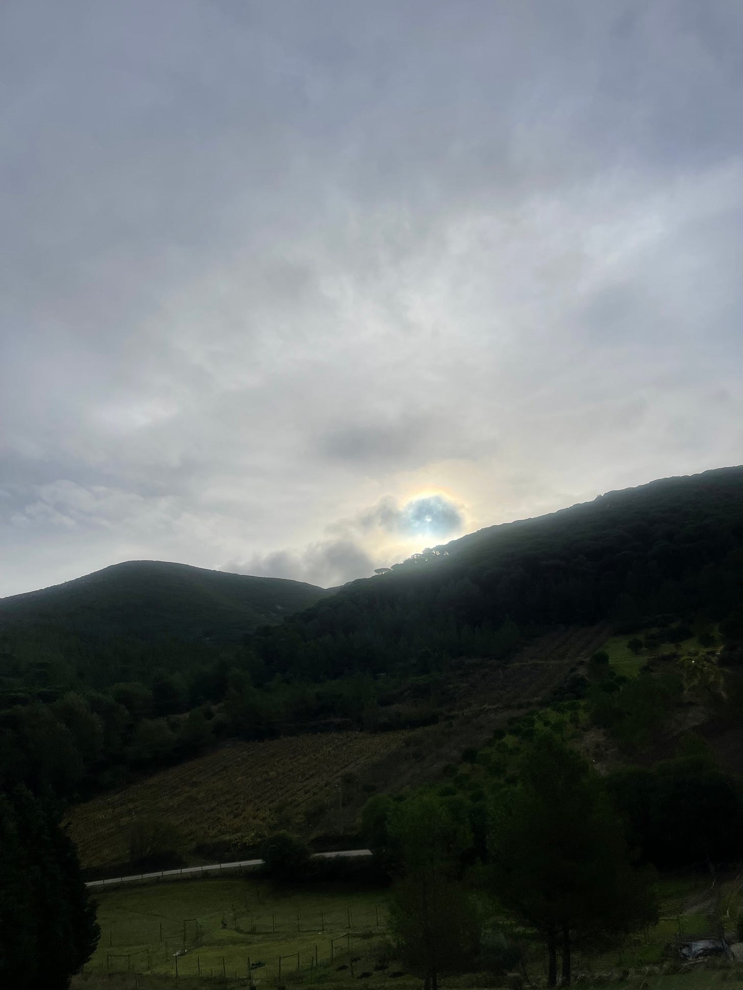 IMG_5761.jpeg