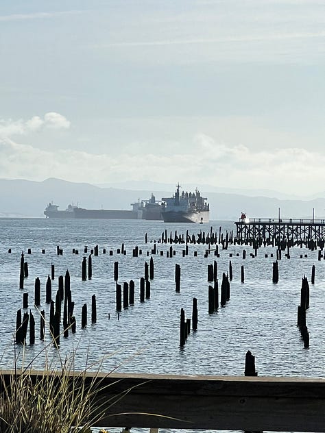 1. Tugboat going under a bridge at sunset. 2. Freighter on the Columbia River. 3. Astoria-Megler Bridger in sunrise. 4. Ships on the Columbia River with pilings. 5. Binoculars. 6. Big ship on the Columbia River. 7. View of the Columbia and Pacific Ocean from the Astoria Column. 8. Photo of Rose smiling from the Astoria Column. 9. View of downtown Astoria and the Columbia River