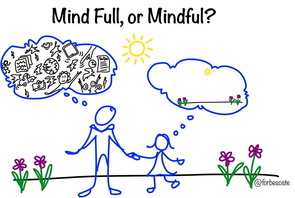 Mind Full v. Mindful | Mind Full or Mindful, the challenge o… | Flickr