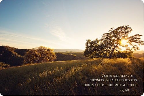 Out beyond ideas of wrongdoing and rightdoing, there is a field. I&#39;ll  meet... | Rumi Picture Quotes | Quoteswave