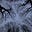 Charlie James's avatar