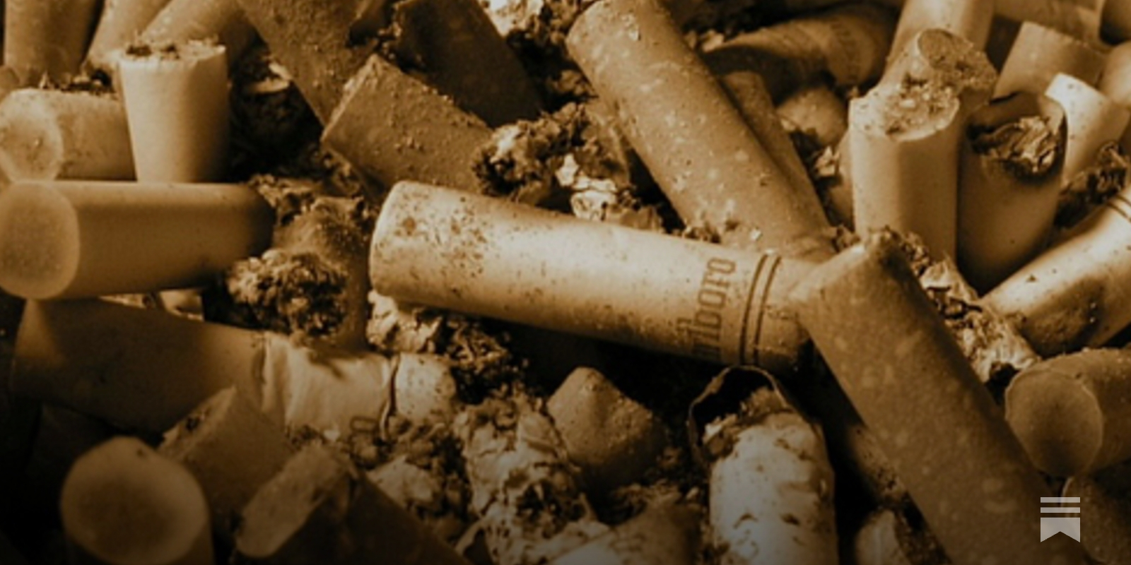 cigarette smoking and memory loss Smoking and the brain: What are the effects?