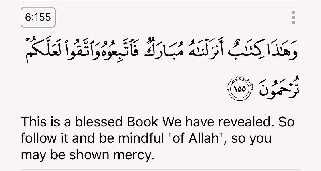 An extract from the Quran that translates to: This is a blessed Book We have revealed. So follow it and be mindful of Allah, so you may be shown mercy. (6:155)