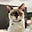 Feels Like Cat Cuddles's avatar