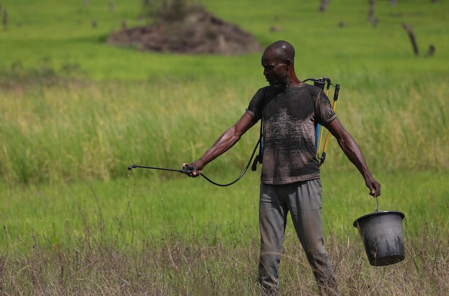 Man spraying pesticides on a farmland Man spraying pesticides on a farmland