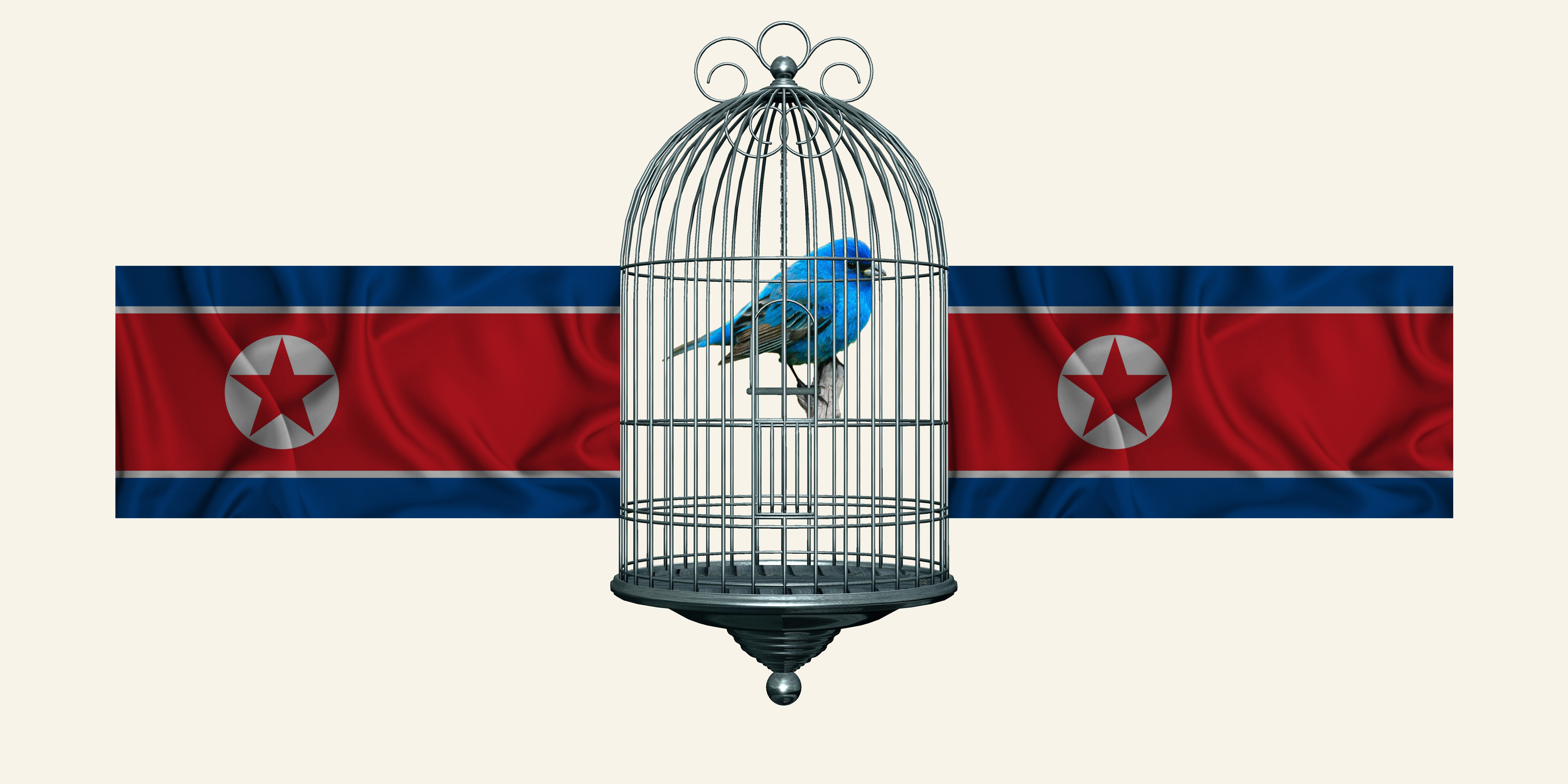 Inside the Madness: The Absurd Bans That Trap North Koreans, image size:6912x3456