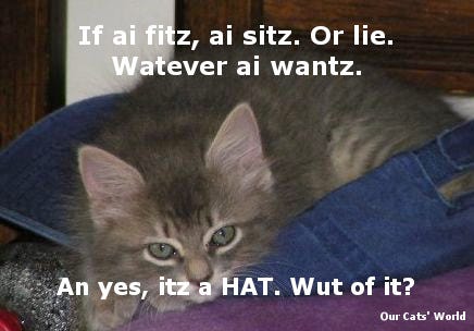 Kali_Hat_lol Kali_Hat_lol