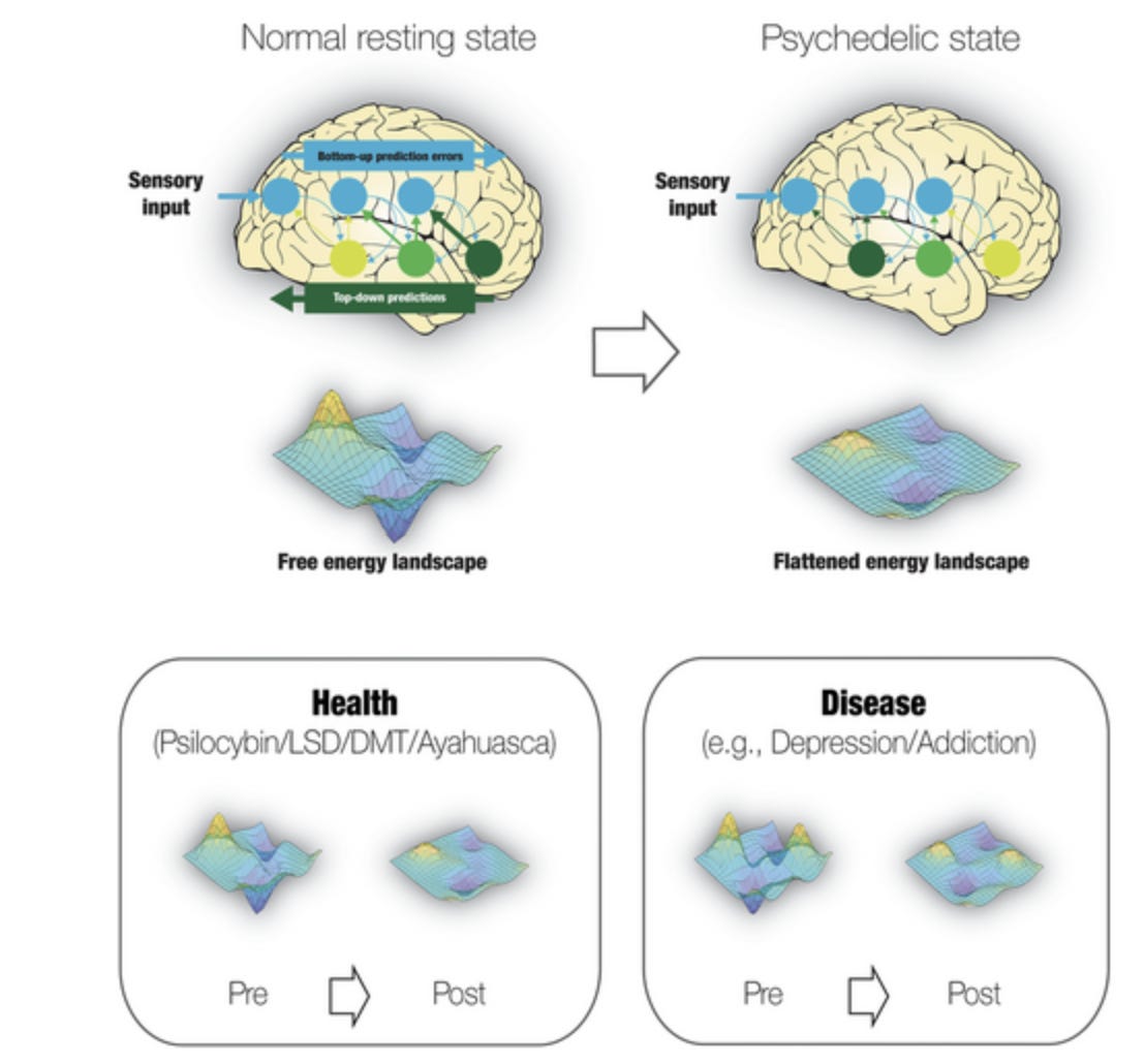 Flattening of the brain's dynamic energy landscape following ingestion of psychedelics