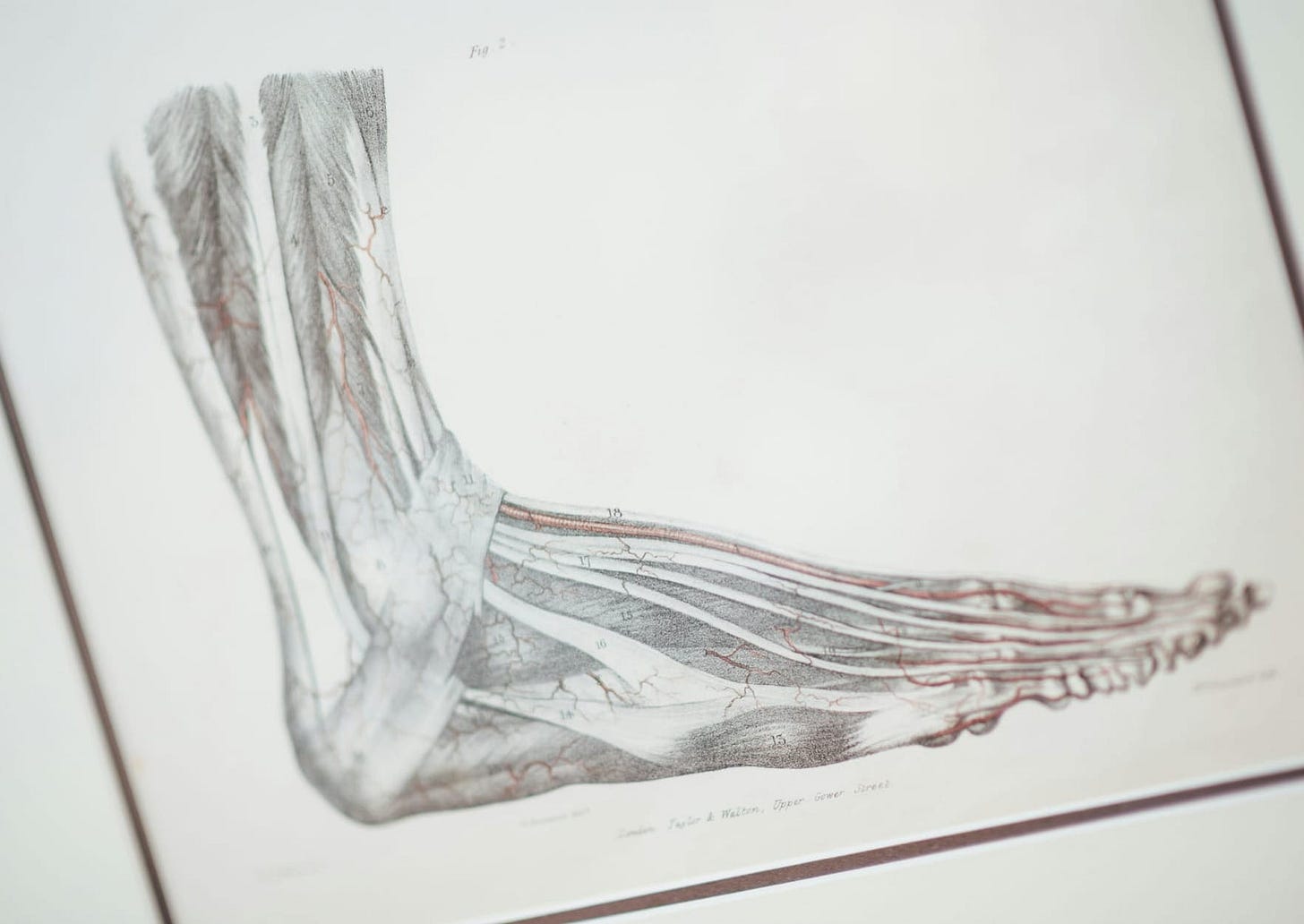 The Psychology of Injury The Psychology of Injury