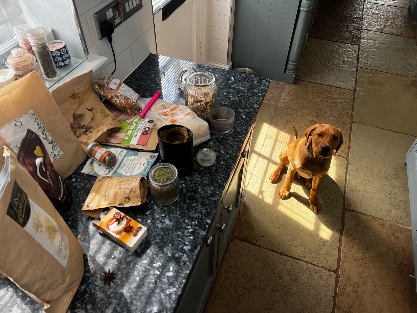 A selection of herb and spice packages on a black stone worktop with a cute red Labrador puppy looking at the camera.