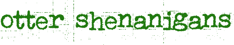 otter shenanigans