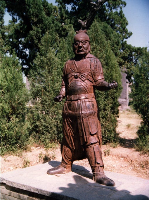 Warrior Warrior