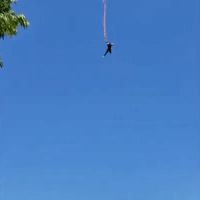 Bungee Jumping GIFs - Find & Share on GIPHY