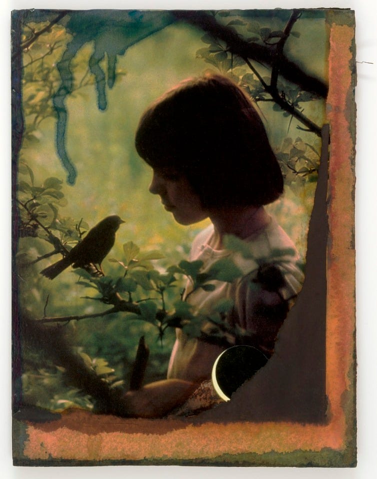 Joseph Cornell, Untitled (girl in woods looking at bird on tree branch), n.d., collage, Smithsonian American Art Museum, Gift of The Joseph and Robert Cornell Memorial Foundation, 1991.155.146