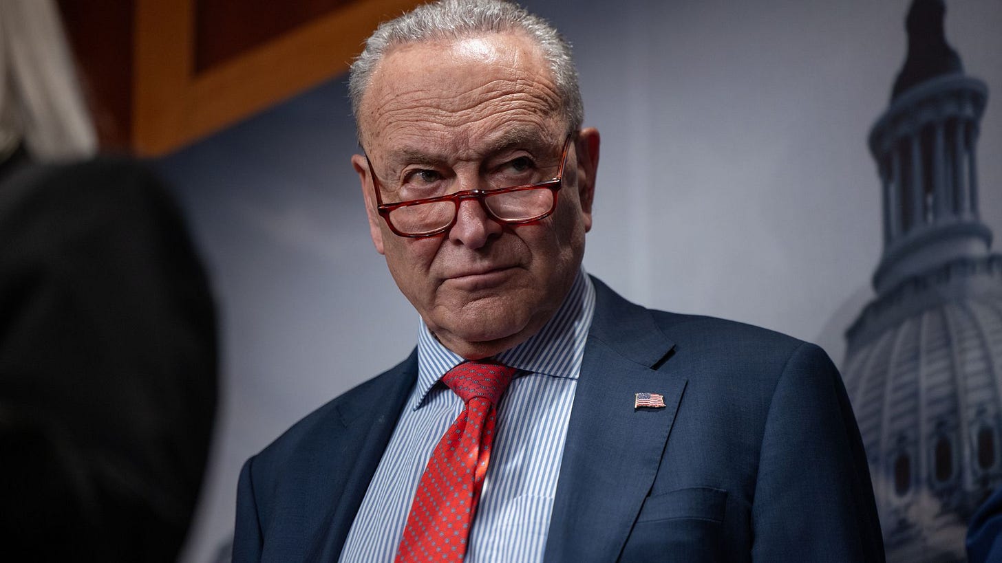 Chuck Schumer's survival plan amid Democrats' leadership fury