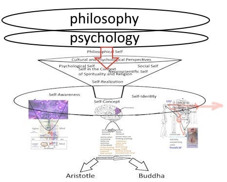 Philosophy and Psychology layers to brain-mind processes | by Siri Perera |  Medium