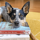 A running list of my dog- and animal-related reading