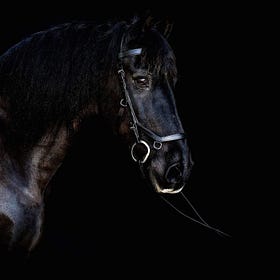 'Apollo' picked as ultimate pin-up in Golden Oldies Gallery