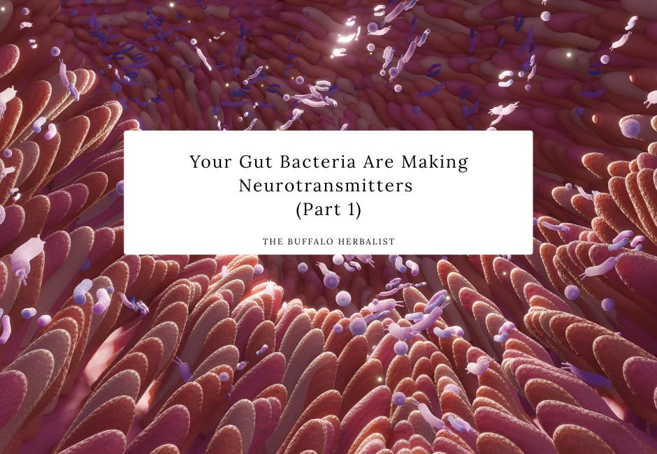 Your Gut Bacteria Are Making Neurotransmitters (Part 1)