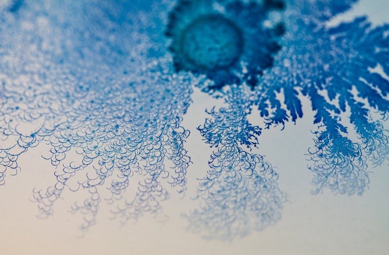 “Objectivity” by Nurit Bar-Shai, looks into morphogenesis and the complex social behavior and decision making of microorganisms by using sound waves to architect these patterns. Image shows what looks to be a piece of paper with a spiralling blue wave-like pattern on it. “Objectivity” by Nurit Bar-Shai, looks into morphogenesis and the complex social behavior and decision making of microorganisms by using sound waves to architect these patterns. Image shows what looks to be a piece of paper with a spiralling blue wave-like pattern on it.