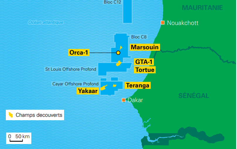 Contenu de l’article