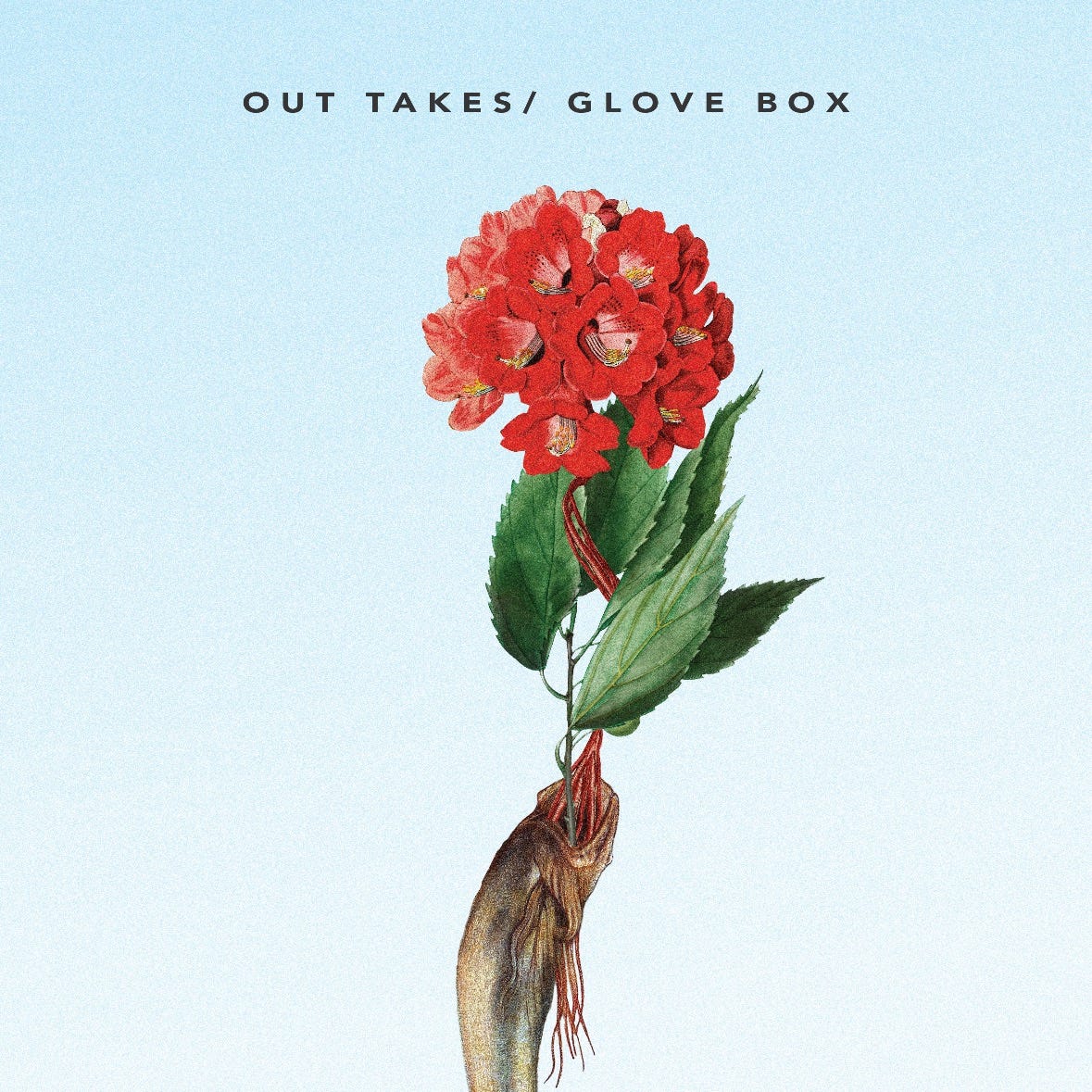 Spores from the Northwest