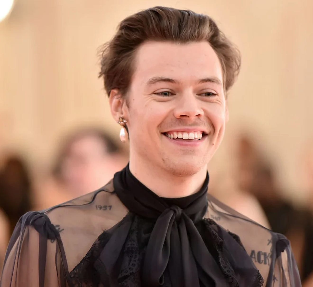 Harry Styles wearing gender fluid clothing