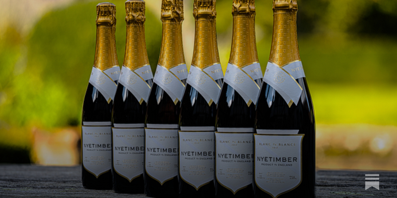 Nyetimber Blanc de Blancs - by David Parkinson - dappled