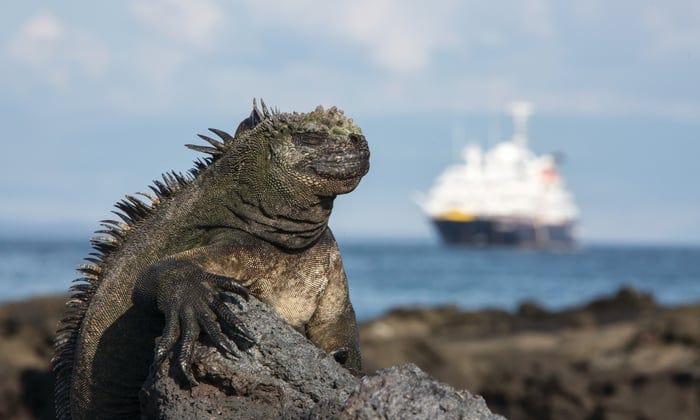 Silversea Expeditions review: A Galapagos family adventure