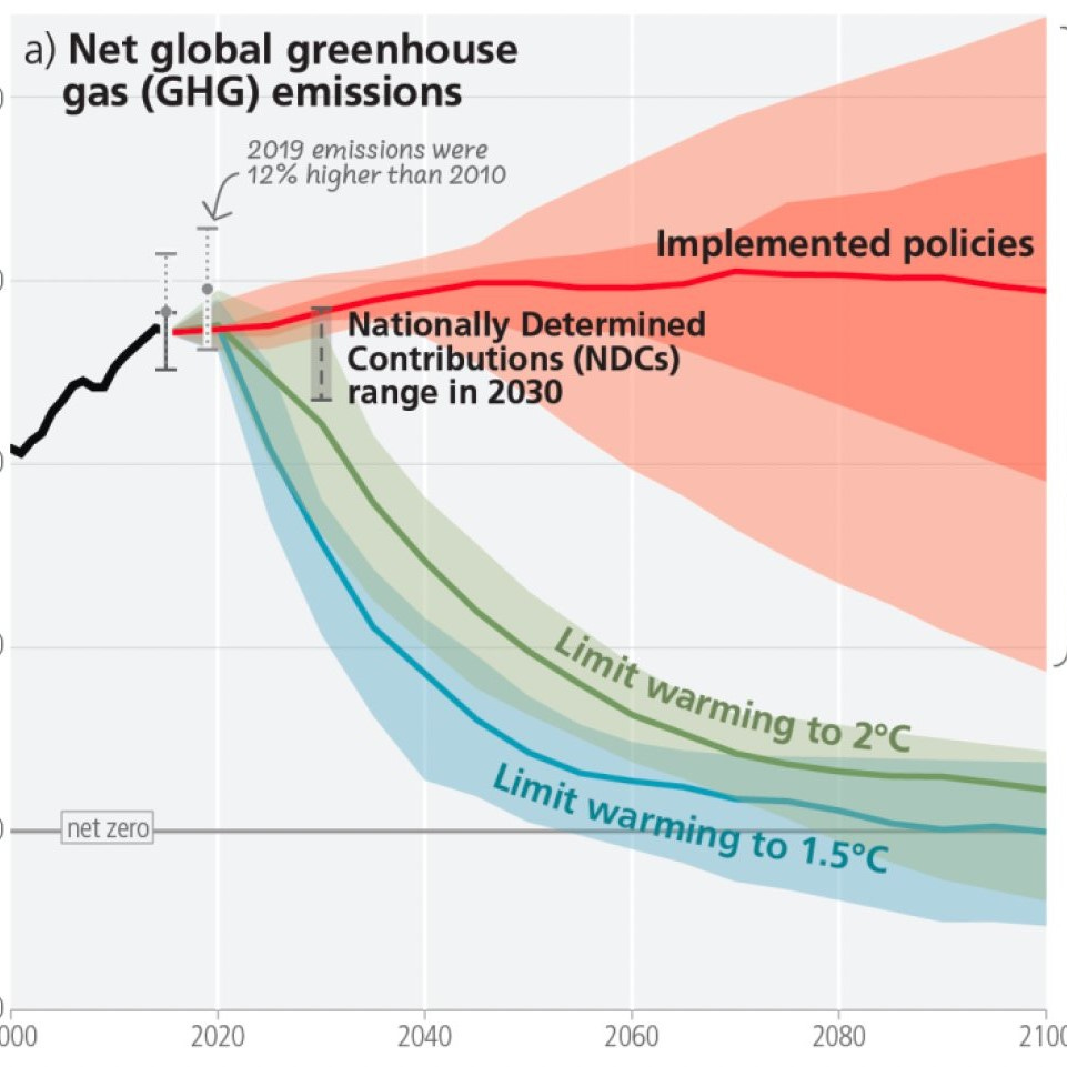Sustainability Dispatch